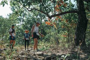 BIB: 
                            <button type="button" onclick="openModal(26114009)" class="btn btn-primary btn-sm float-right btn-popup" data-toggle="modal" data-target=".modal-high-quality">
                        <i class="fas fa-shopping-cart"></i> Add to Cart
                    </button>
                                            <button type="button" onclick="isThisMe(26114009, true)" class="btn btn-success btn-sm float-right btn-popup btn-isme hidden" data-toggle="tooltip" data-placement="bottom" title="นี่คือรูปของคุณใช่ไหม คลิกที่นี่เพื่อเอาเข้าอัลบั้ม">
                        <i class="fas fa-plus"></i> Add to album
                    </button>
                    <button type="button" onclick="isThisMe(26114009, false)" class="btn btn-warning btn-sm float-right btn-popup btn-isnotme hidden">
                        <i class="fas fa-ban"></i> Remove from album
                    </button>